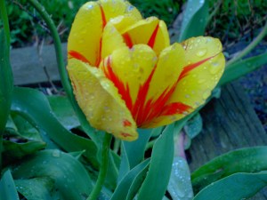 Jesus gives us beauty in Nature to enjoy