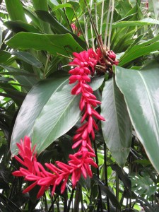 Photo by Dave Reusser