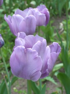 God's promises never fail.