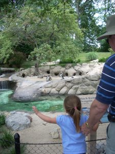 John and Maddie look at penguins at the zoo. At home they looked at a book of animals.
